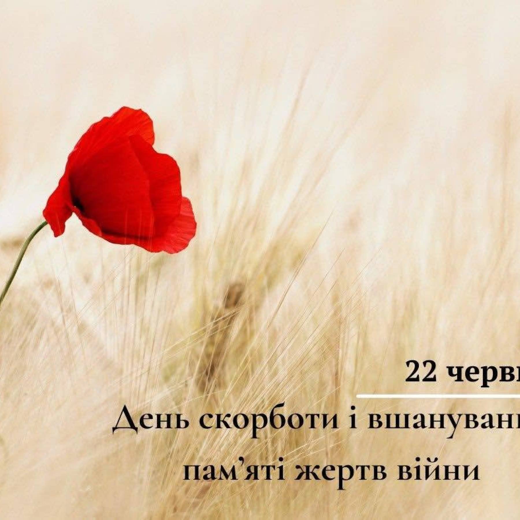 День скорботи і вшанування пам’яті жертв війни
